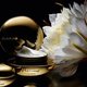 Clarins Precious – Exklusive Masterclass mit Verwöhnerlebnis