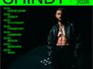 SHINDY