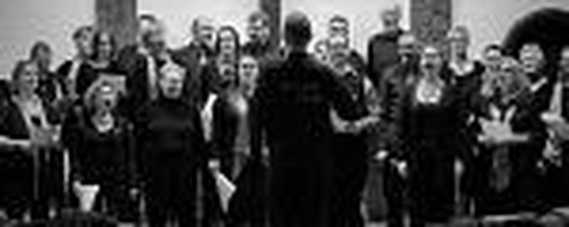 Auftritt der Gospel Souls Ihausen beim Stadtstrand Westerstede
