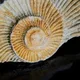 Kristallwunder und Urzeitgeschichten – Eine…