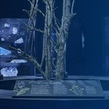 Magische Momente – Motto-Event zur Sonderausstellung “Magie”