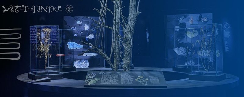 Magische Momente – Motto-Event zur Sonderausstellung “Magie”