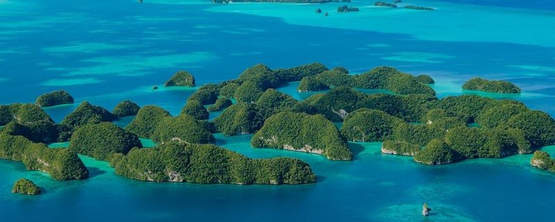 Mit Stift und Papier: Zeichnen und Sketchen im Museum