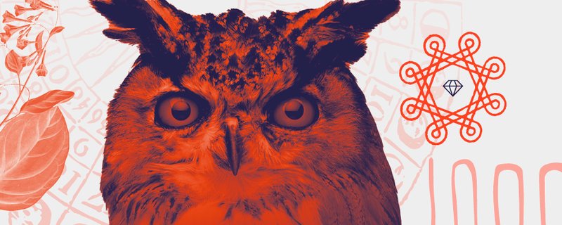 Magic Market – das ganze Museum ein Fest!