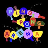 Ping Pong Arena