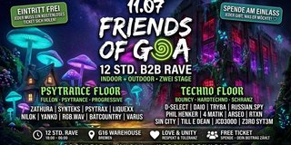 FRIENDS OF GOA - 12 STD. B2B RAVE