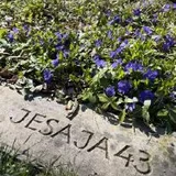 Spaziergang über den Waller Friedhof