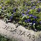 Spaziergang über den Waller Friedhof