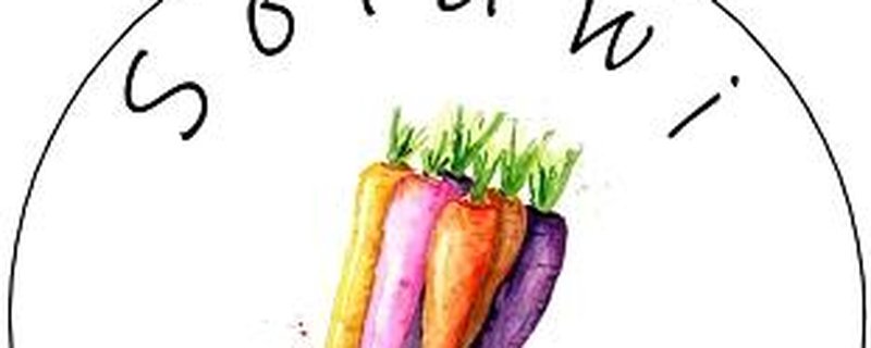 Regio Wochen: Ein Hektar für 60 Haushalte - Wie Solidarische Landwirtschaft lebt und schmeckt? Die Praxis