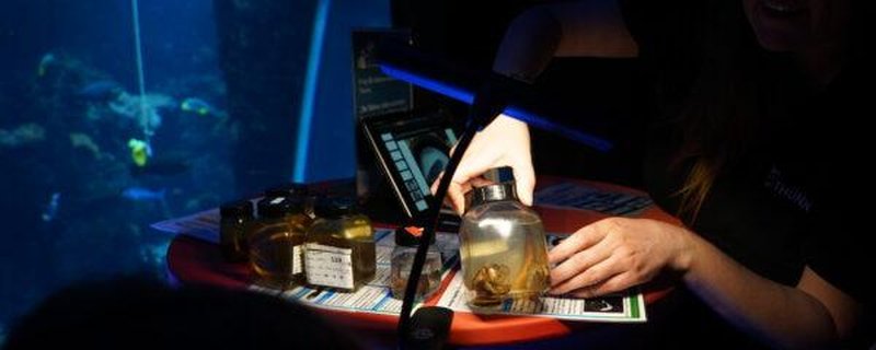 Forschungsreise 2026