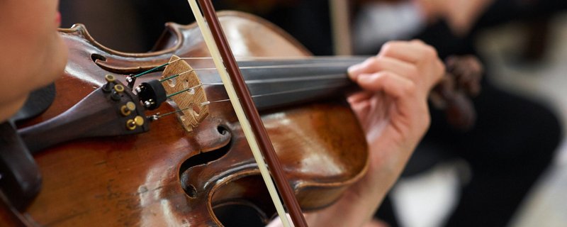 Kammerorchester der Neuen Philharmonie Hamburg "Vivaldi - Die vier Jahreszeiten"