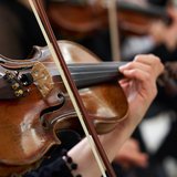 Kammerorchester der Neuen Philharmonie Hamburg "Vivaldi - Die vier Jahreszeiten"
