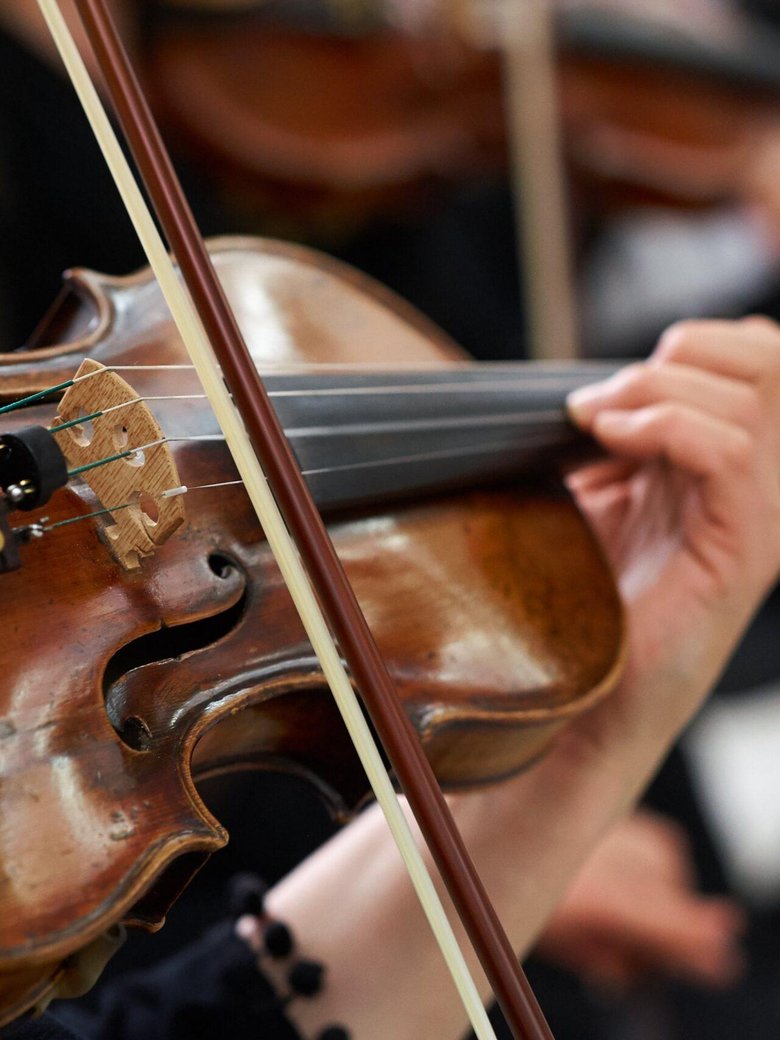 Kammerorchester der Neuen Philharmonie Hamburg "Vivaldi - Die vier Jahreszeiten"