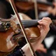 Kammerorchester der Neuen Philharmonie Hamburg "Vivaldi - Die vier Jahreszeiten"