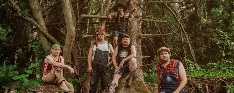 STEVE´N´SEAGULLS