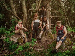 STEVE´N´SEAGULLS