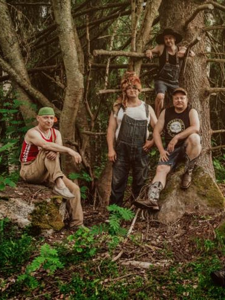 STEVE´N´SEAGULLS