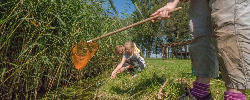 Natureum Niederelbe: Forschen im Wasserland