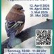 Vogelstimmen lernen