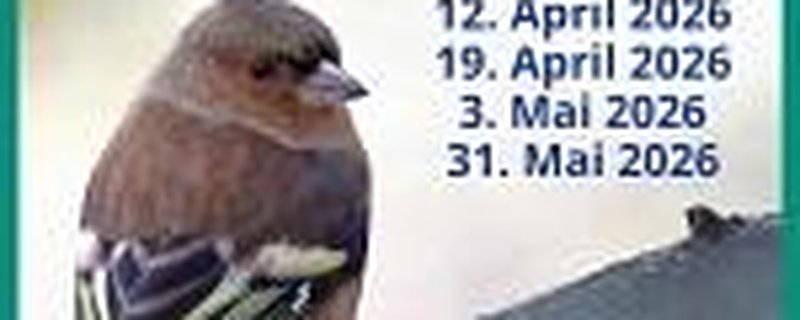 Vogelstimmen lernen