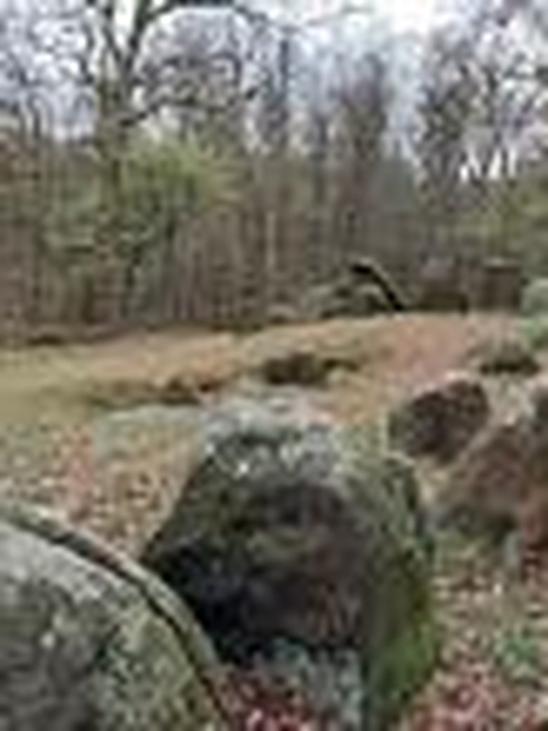 Tag des offenen Denkmals: Archäologische Plätze rund um Wildeshausen