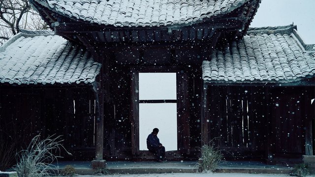 狂野时代