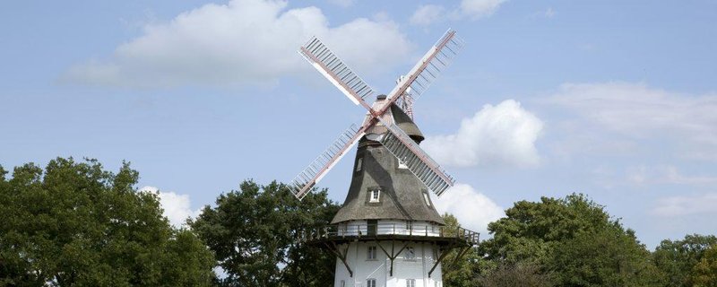 Deutscher Mühlentag