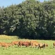 Natureindrücke im Herbst