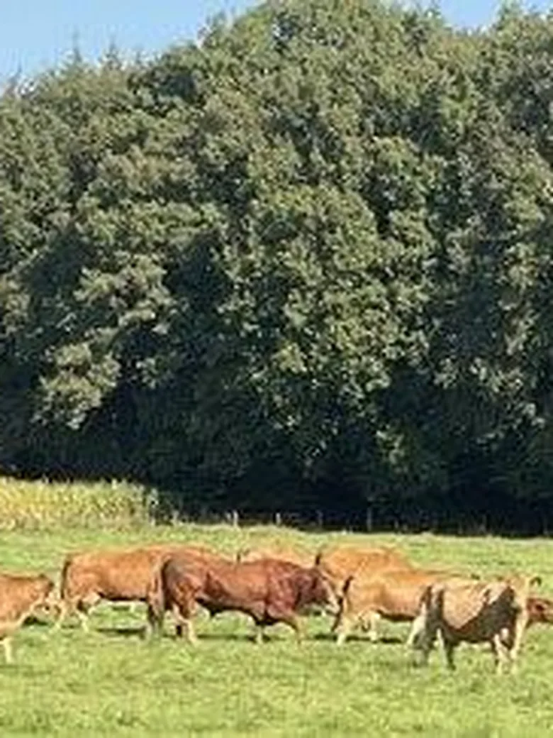 Natureindrücke im Herbst