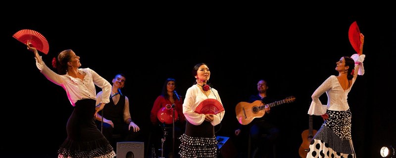 Mi Mundo Flamenco