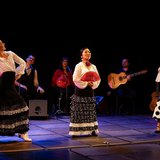 Mi Mundo Flamenco