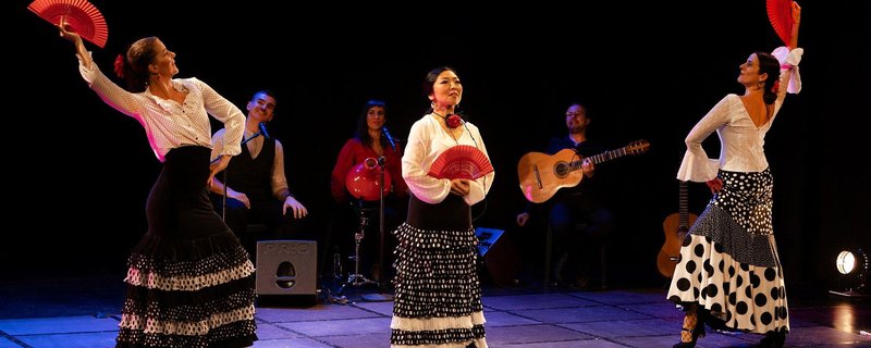 Mi Mundo Flamenco