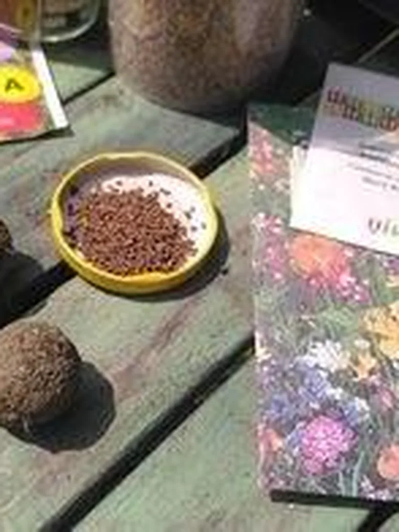 Workshop Samenkugeln herstellen für Kinder von 3…