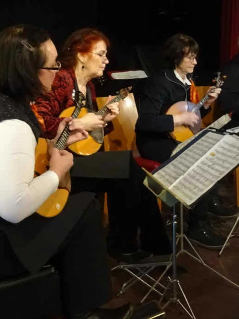 Das Bremer Mandolinenorchester