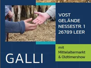 Gallimarkt Leer 2026