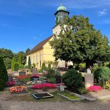 Hilfe für die Horner Linde – Der älteste Baum Bremens wird gesichert und saniert