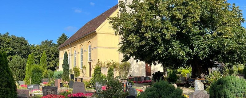 Hilfe für die Horner Linde – Der älteste Baum Bremens wird gesichert und saniert