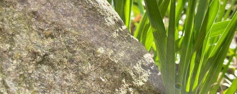 Gemeinsamer Gottesdienst mit Hl. Abendmahl am Ostersonntag in St. Johannis Arbergen