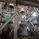 Domführungen: 3 x "Die Glocken im Nordturm"