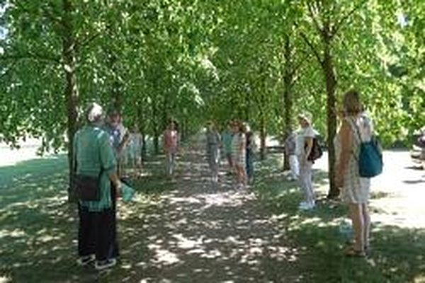 Öffentliche kulinarische Baumparkführung