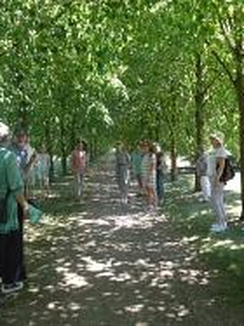 Öffentliche kulinarische Baumparkführung