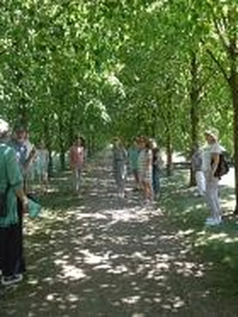 Öffentliche kulinarische Baumparkführung