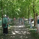 Öffentliche kulinarische Baumparkführung