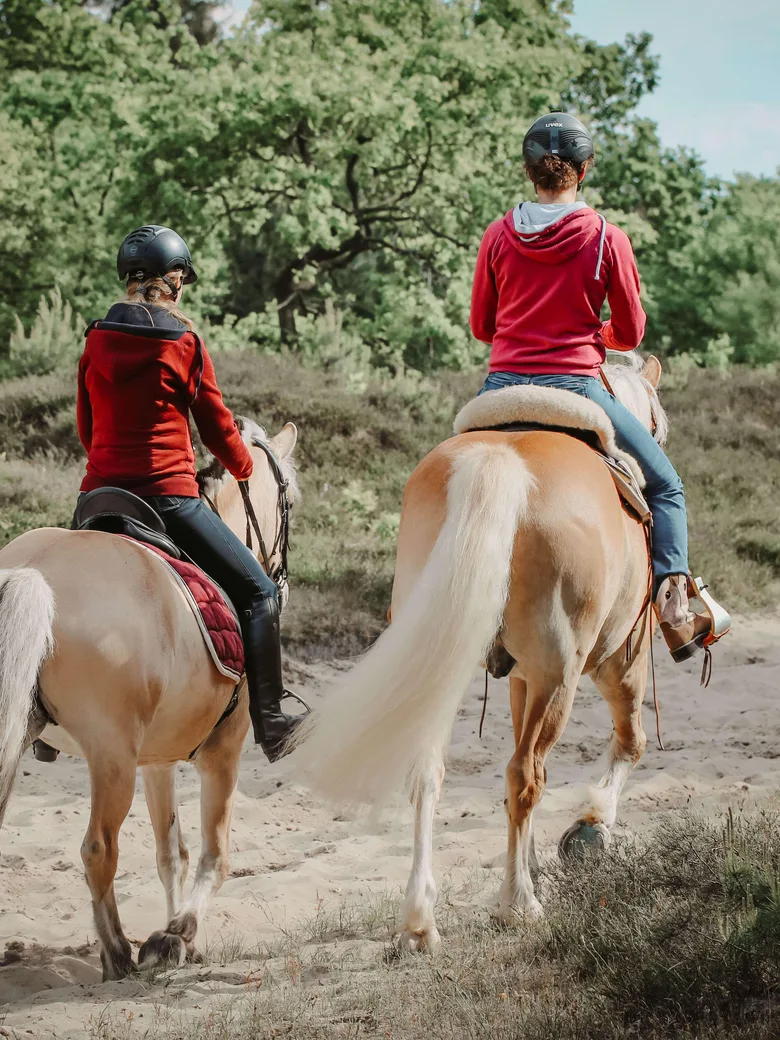 Westernreiten