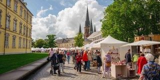 43. Internationale Keramiktage Oldenburg