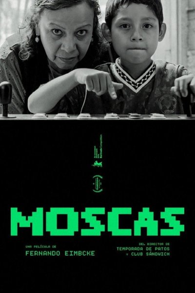 Moscas