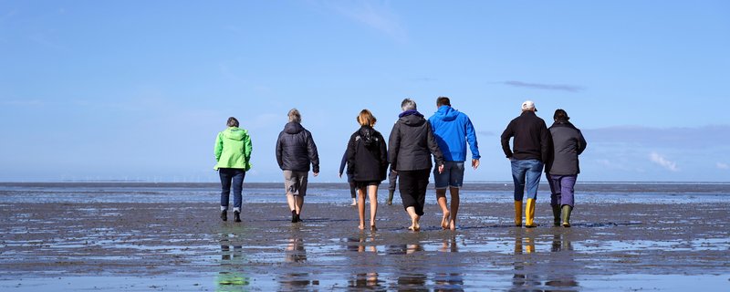 Faszination Wattenmeer