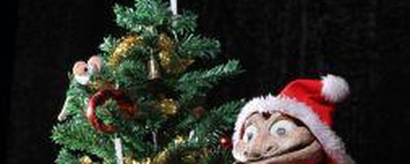 Weihnachten beim großen Bo und beim kleinen Pizzico