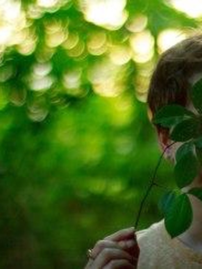 Wald im Wandel - Ein Abenteuer für Groß und…