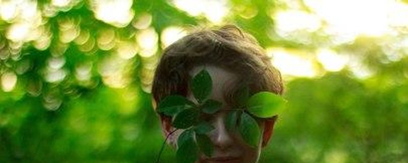 Wald im Wandel - Ein Abenteuer für Groß und…